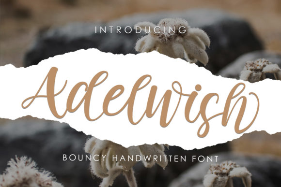Adelwish Font Review: A Friendly Handwritten Script for Designers