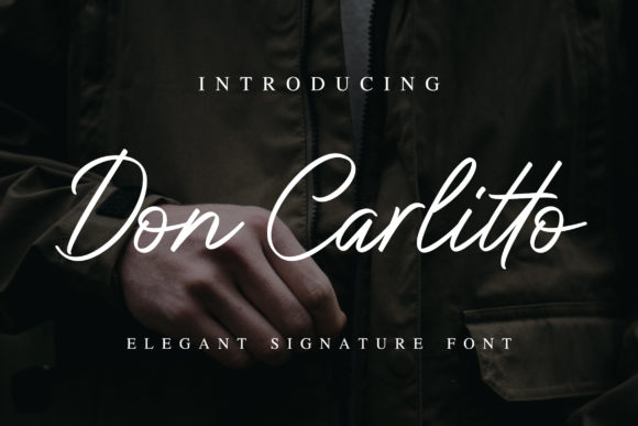 Don Carlitto Font for Elegant Web Design