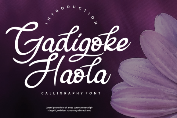 Gadigoke Haola Font for Elegant Branding
