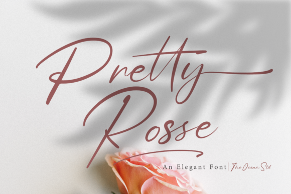 Pretty Rosse Font for Friendly Branding